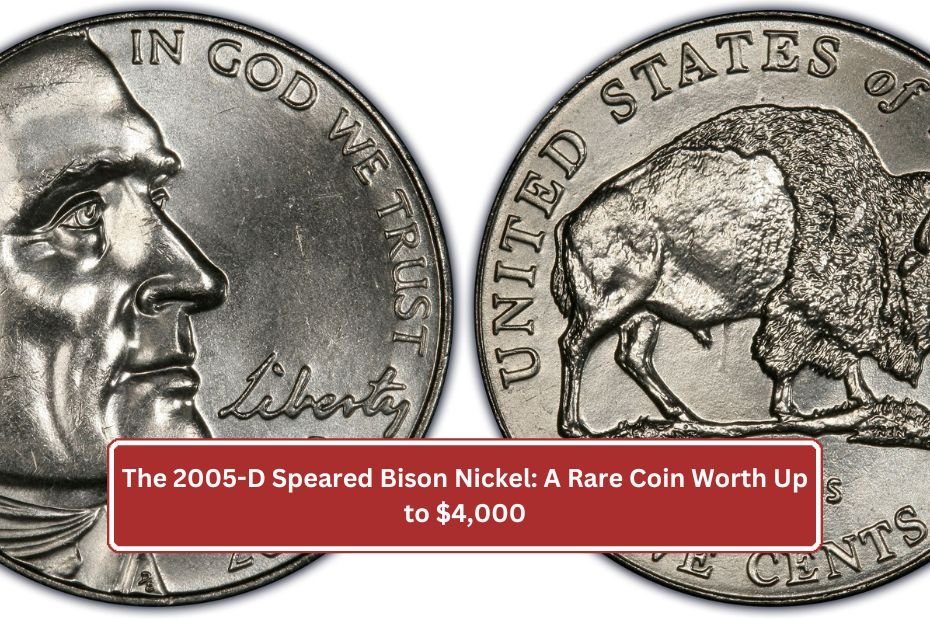 2005-D Speared Bison Nickel